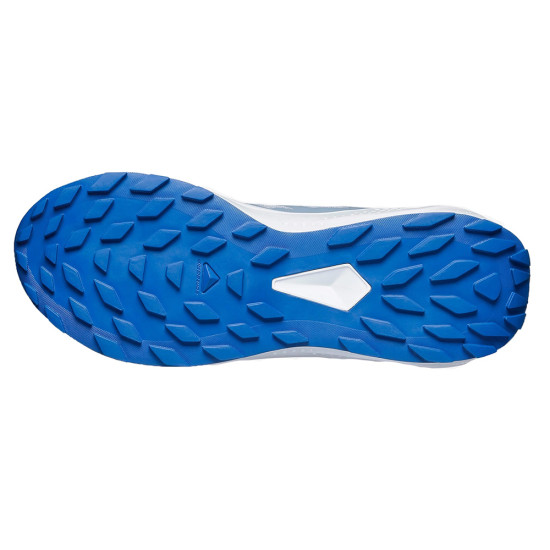 Salomon Alphaglide